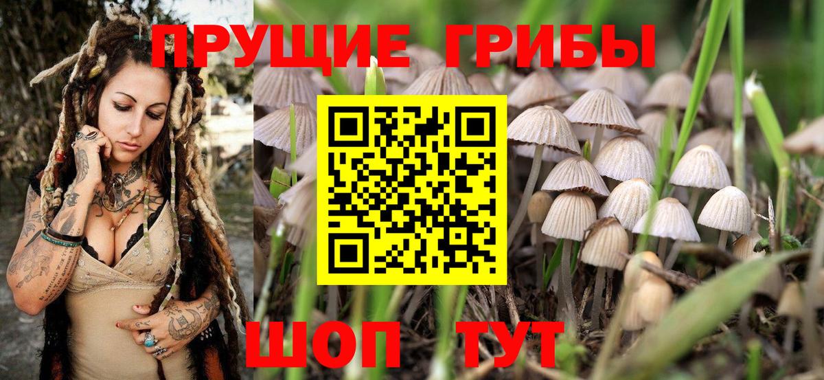 Галлюциногенные грибы Magic Shrooms  Вход с VPN  Ахтубинск 
