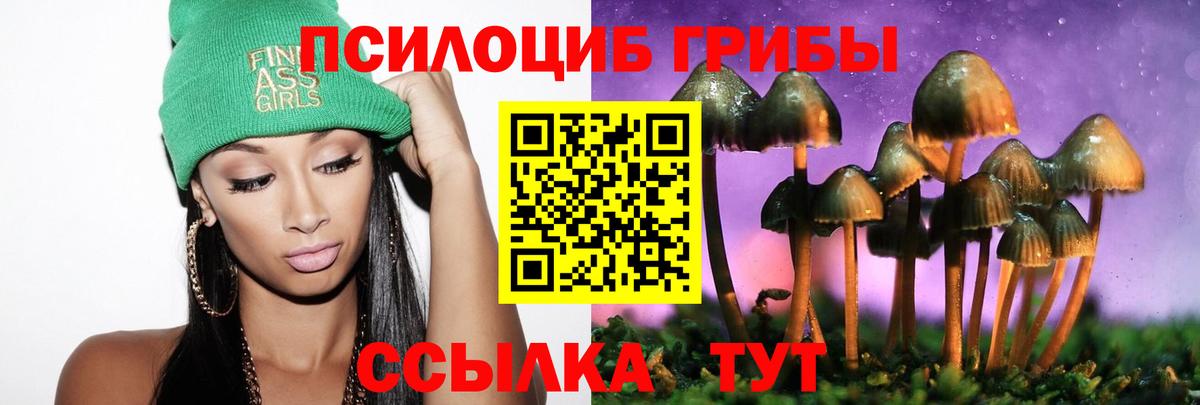 Псилоцибиновые грибы Psilocybine cubensis Ахтубинск